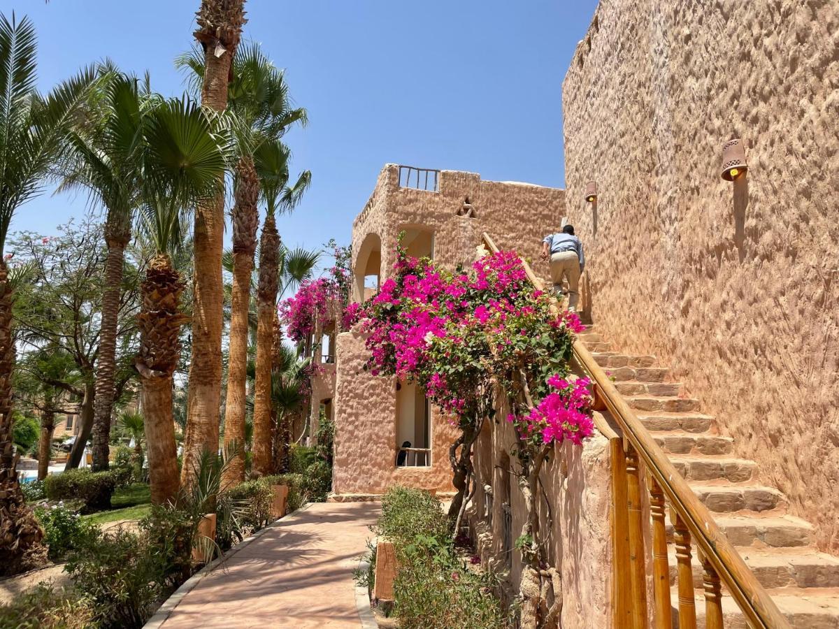 Blue Lagoon View Resort & Spa Marsa Alam Extérieur photo