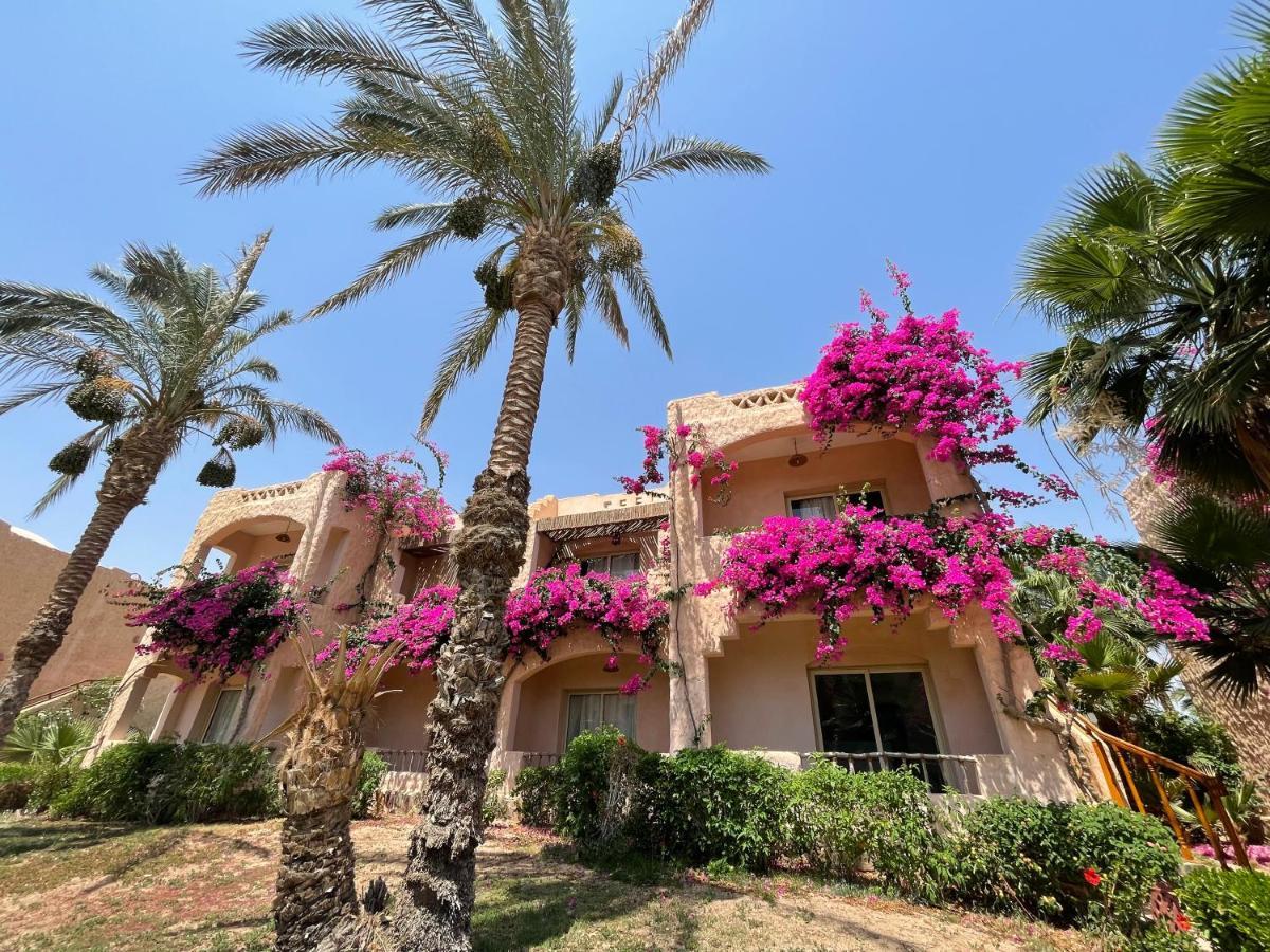 Blue Lagoon View Resort & Spa Marsa Alam Extérieur photo